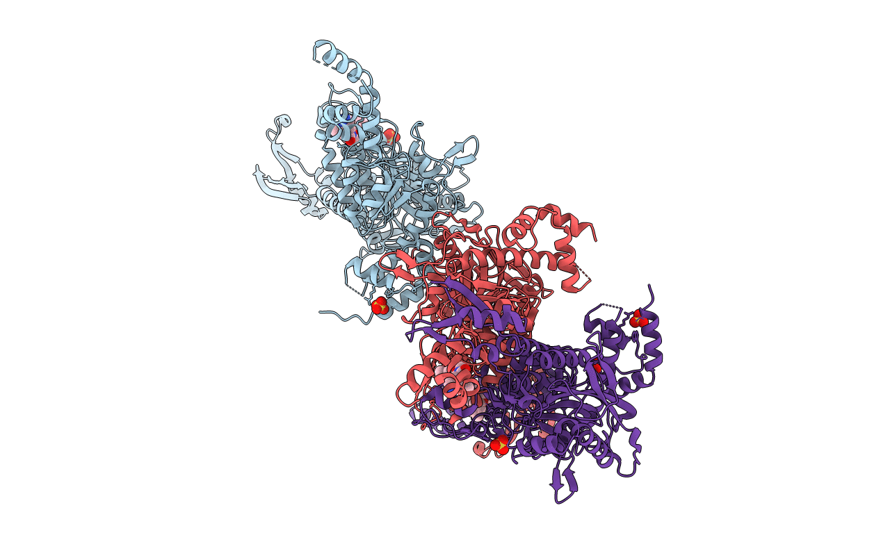 5CTB image