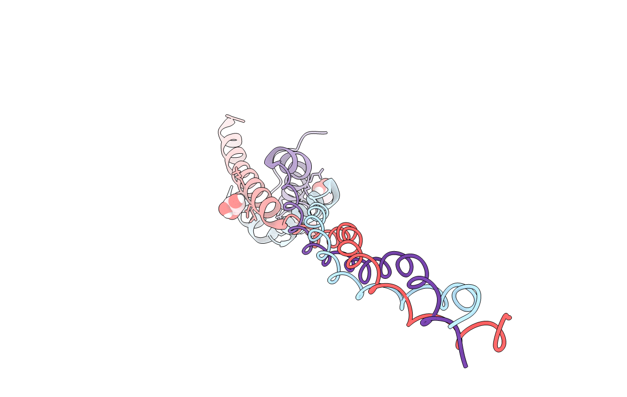 5CTI image