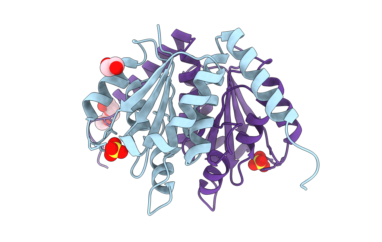 5CTJ image