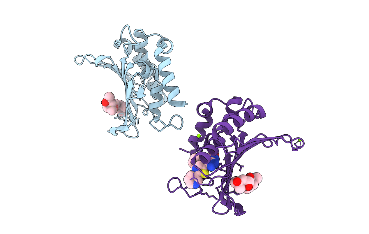 5CTX image