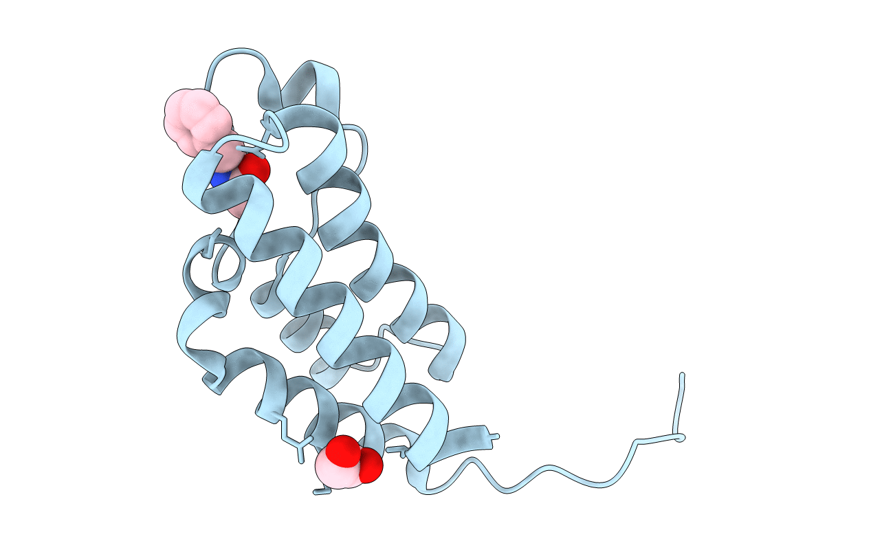 5CUC image
