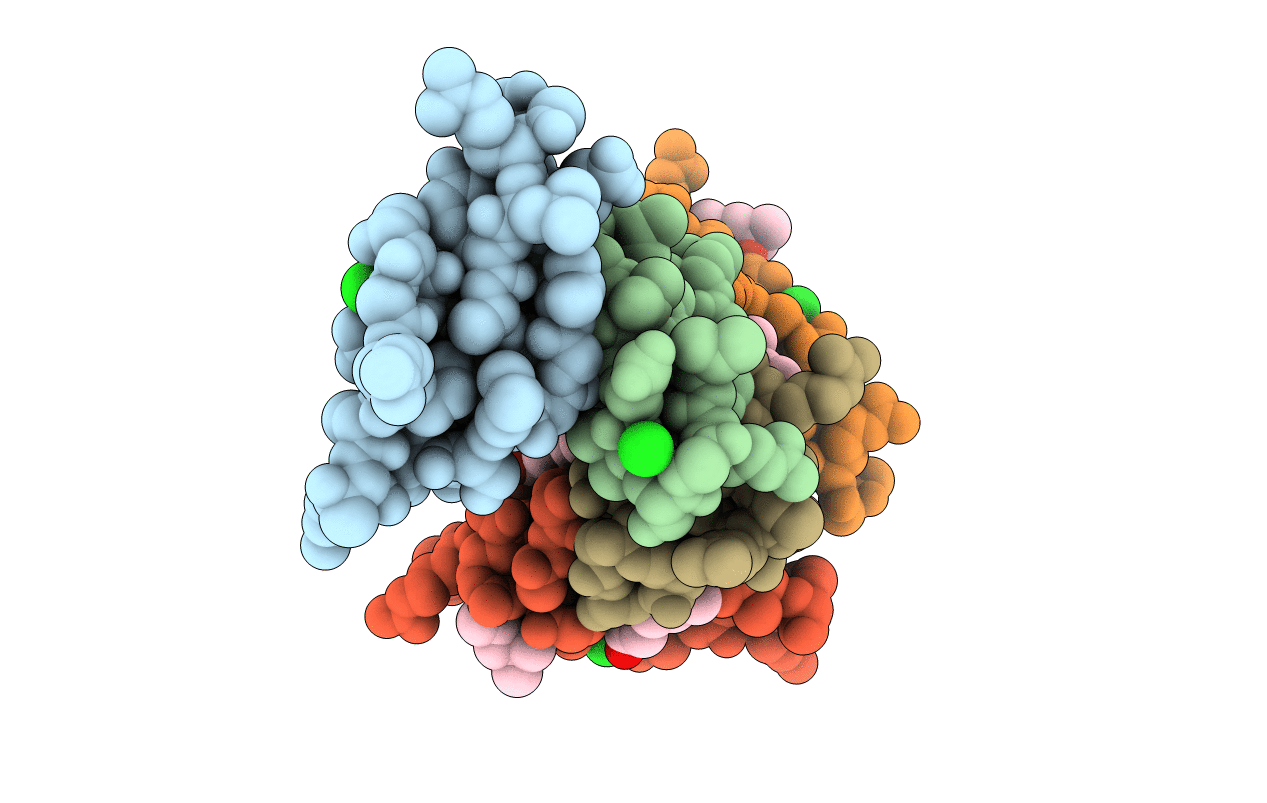 5CUI image