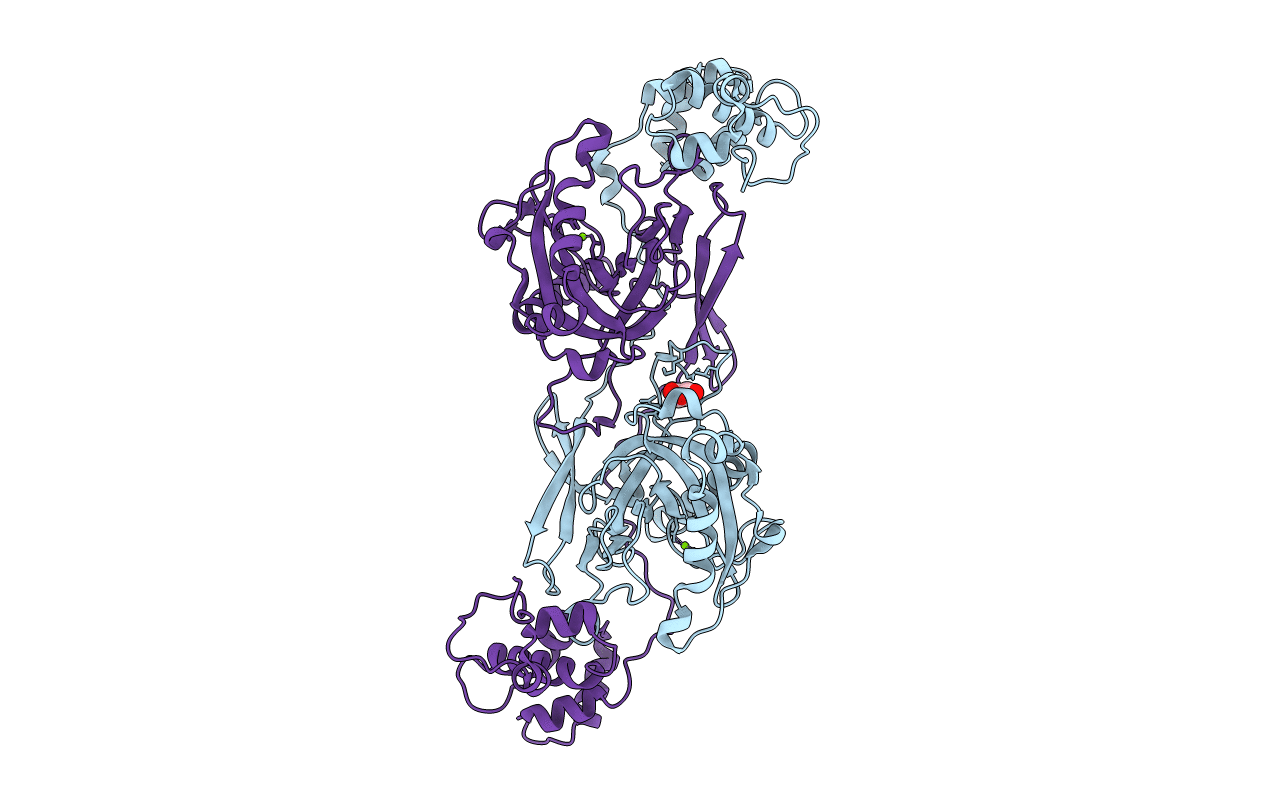 5cuv image