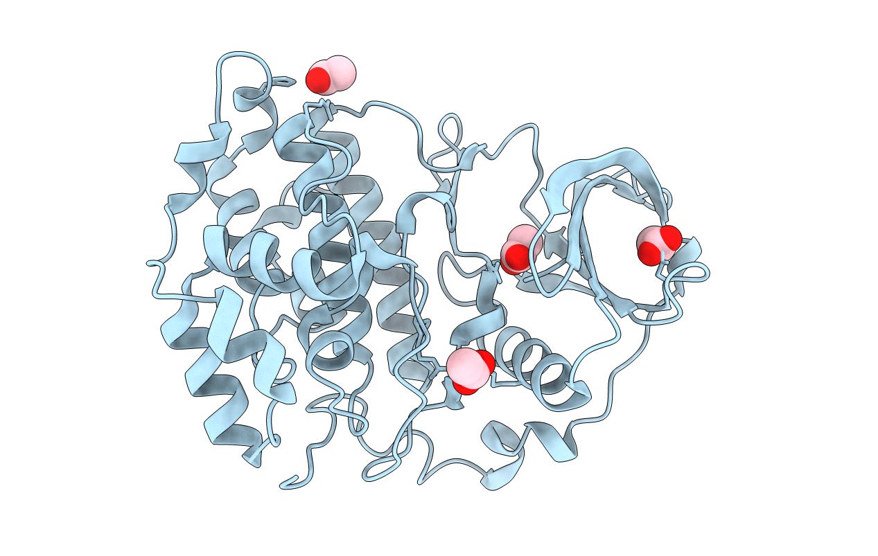 5CVG image