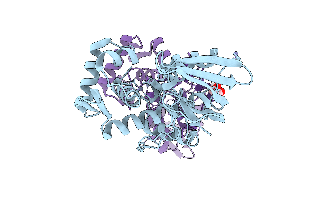 5CVI image