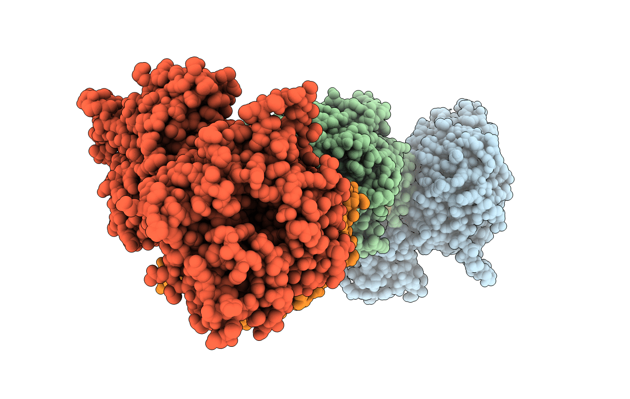 5CVO image