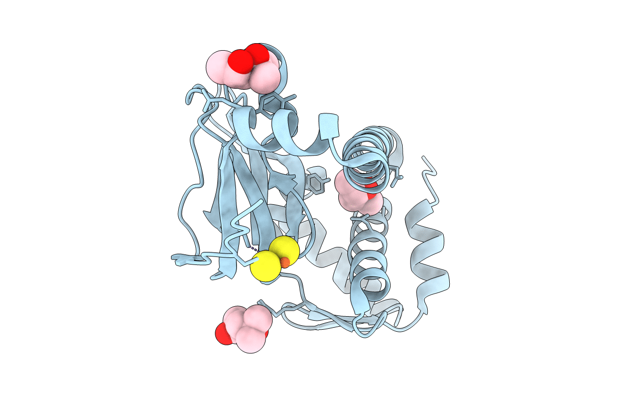 5CVR image