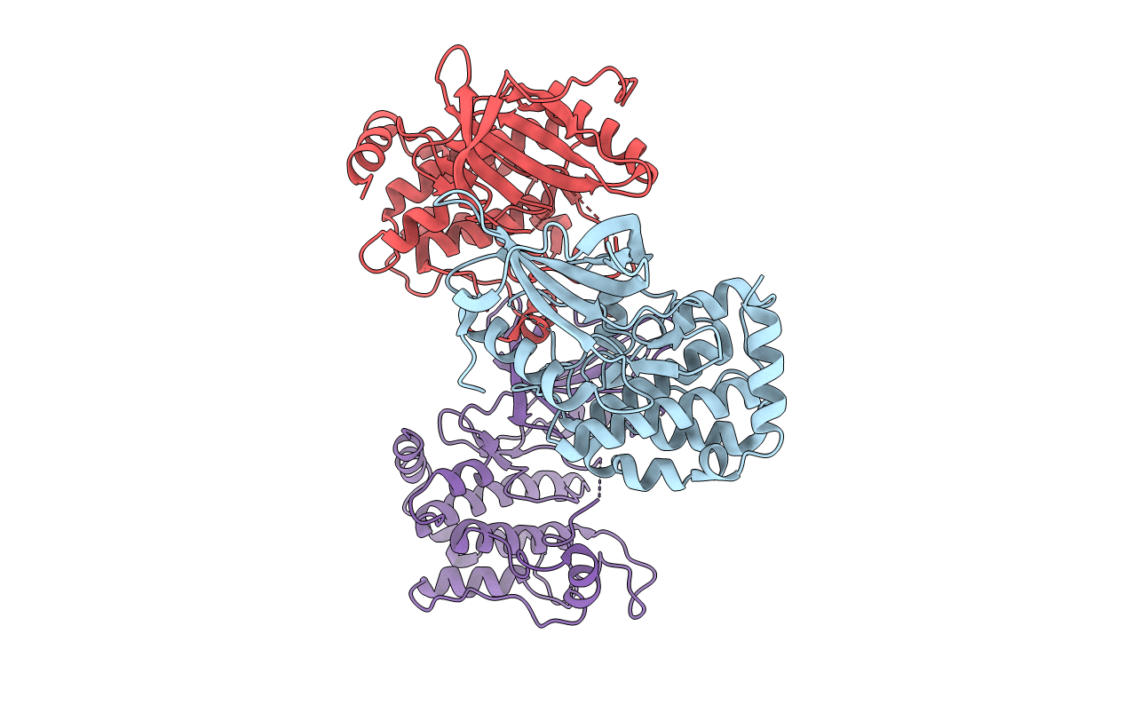 5CWZ image