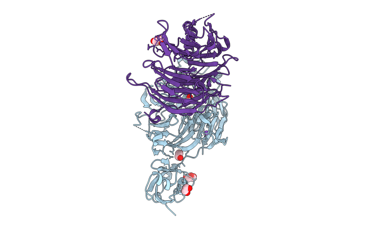 5CXB image
