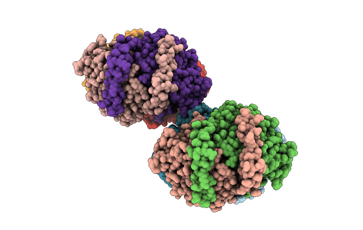5CXK image
