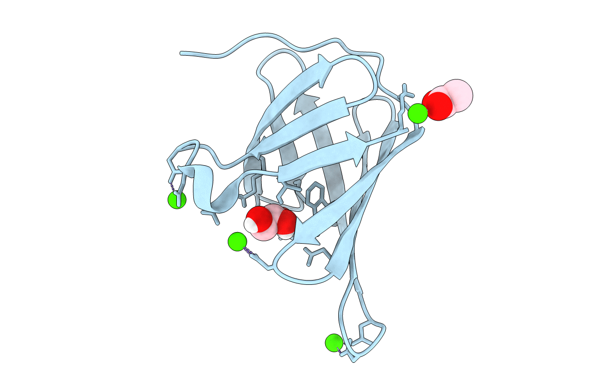 5CYB image