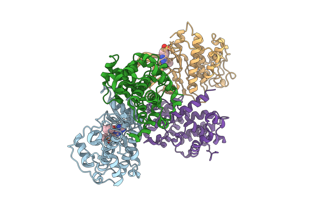 5CYI image