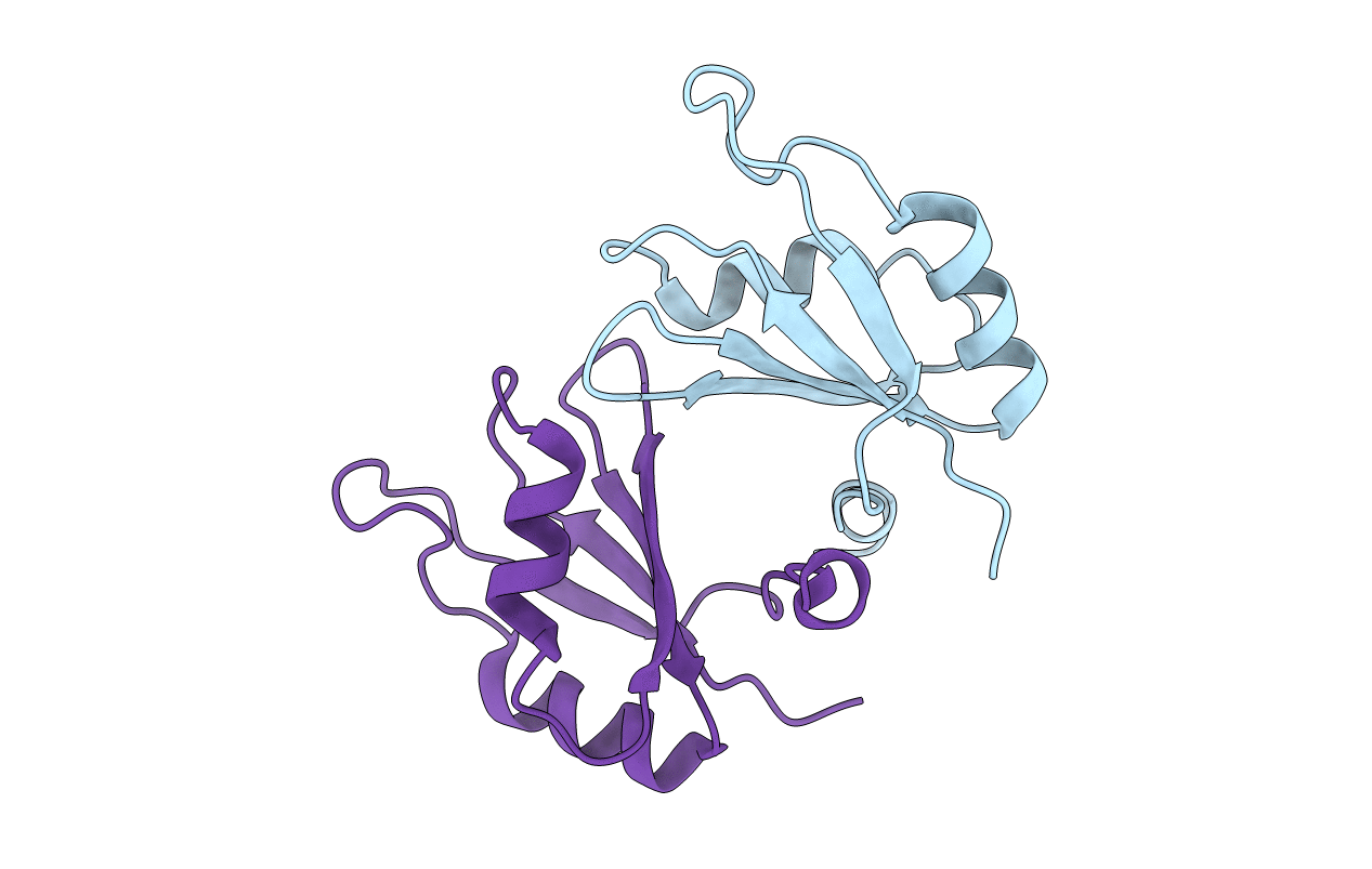 5CYJ image
