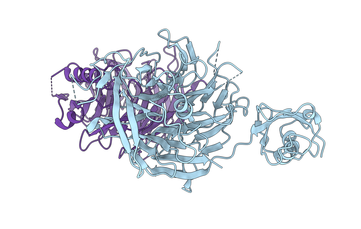 5CYK image
