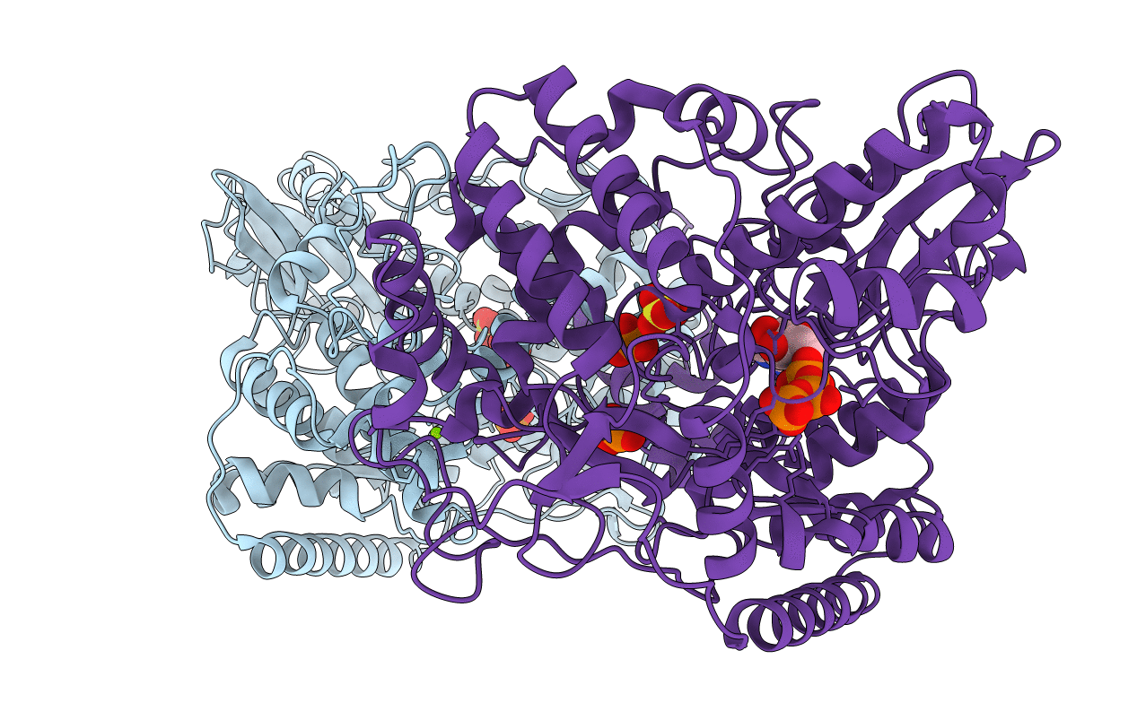5CYR image
