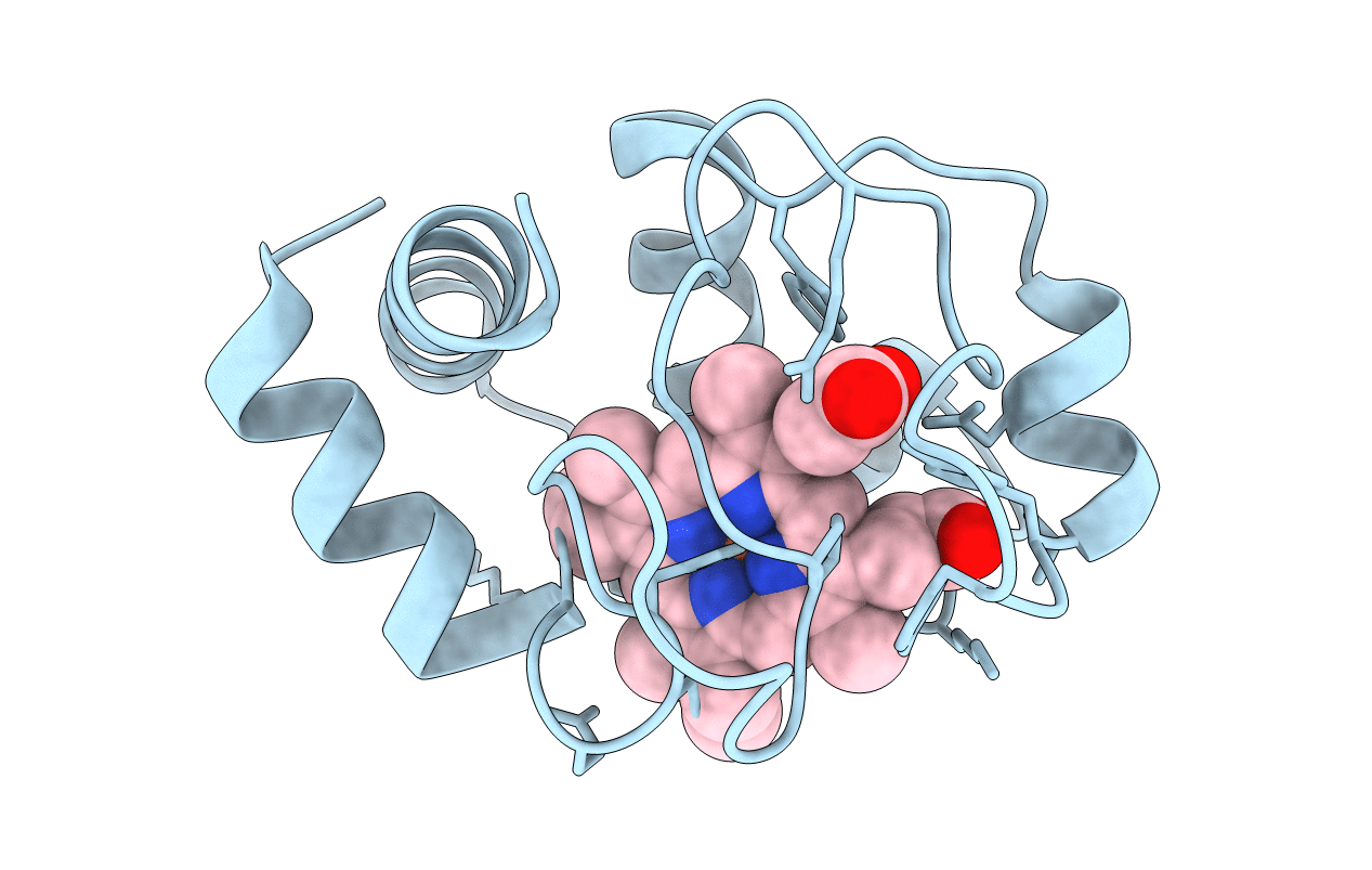 5CYT image
