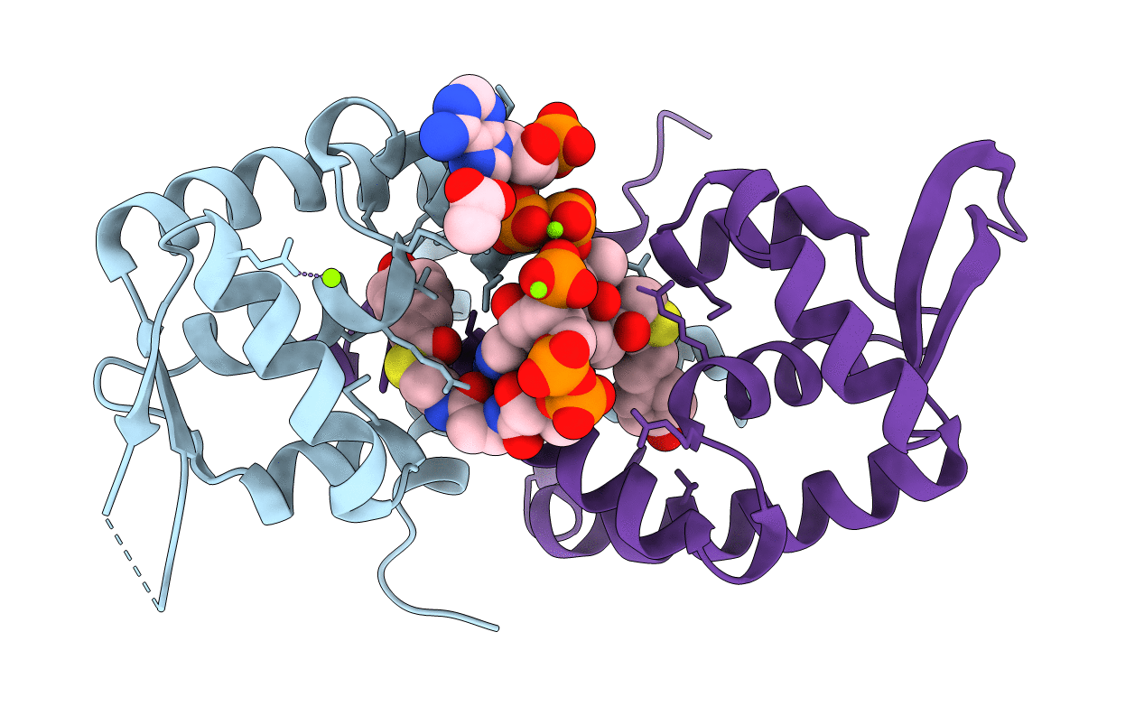5CYV image