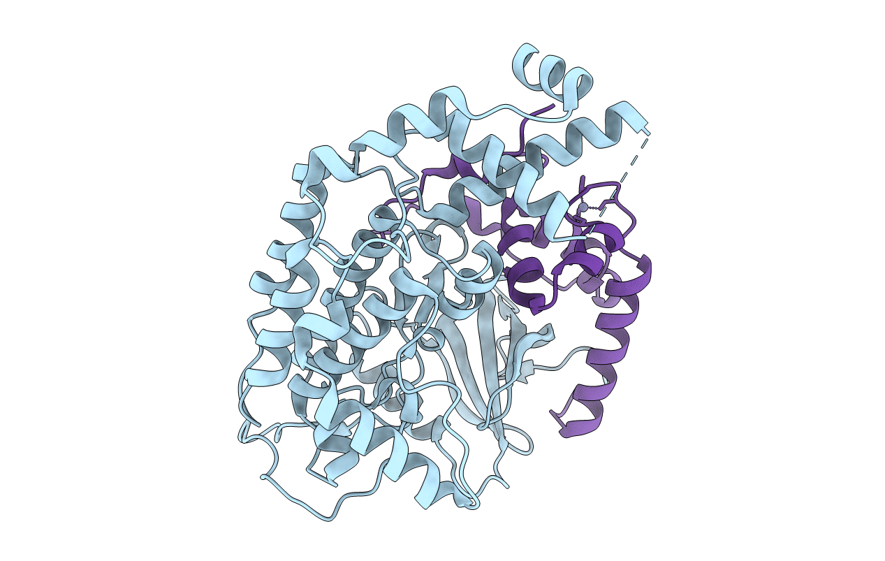 5CYZ image