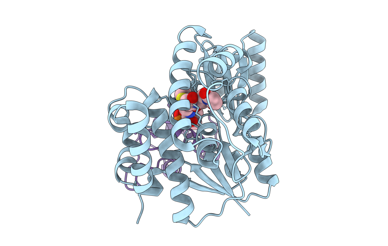 5CZD image