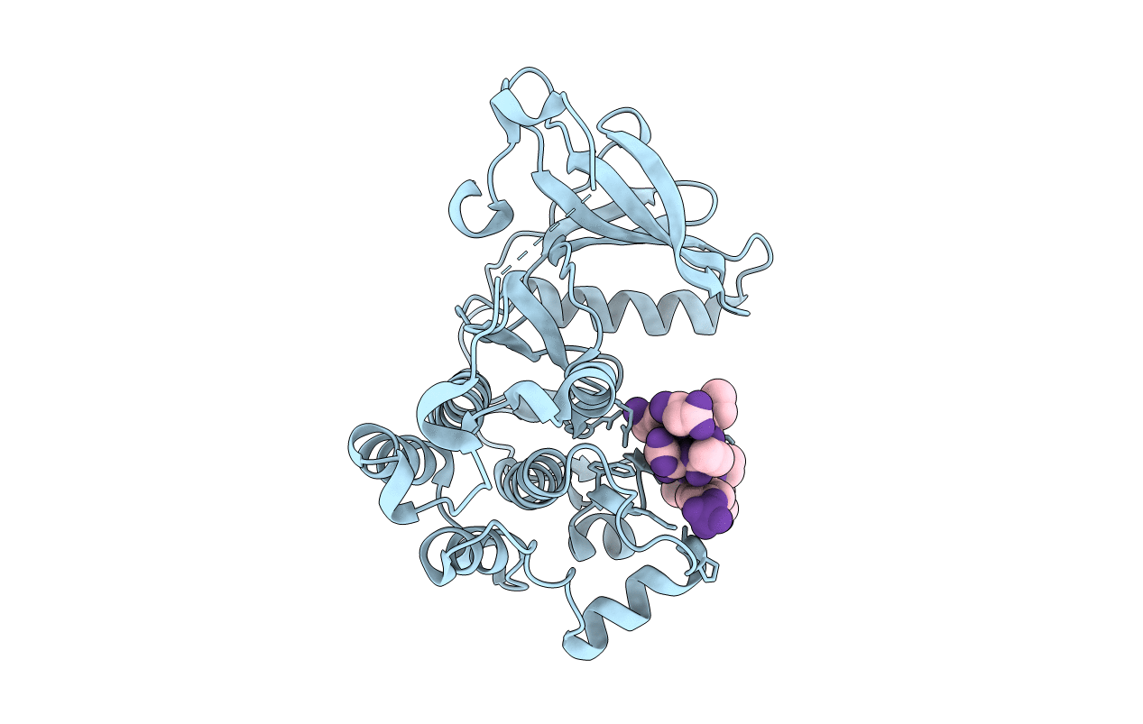 5CZH image