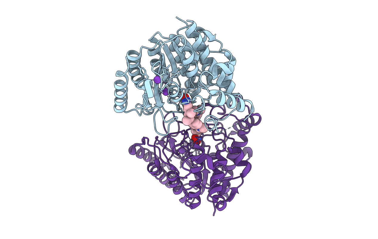5D1B image