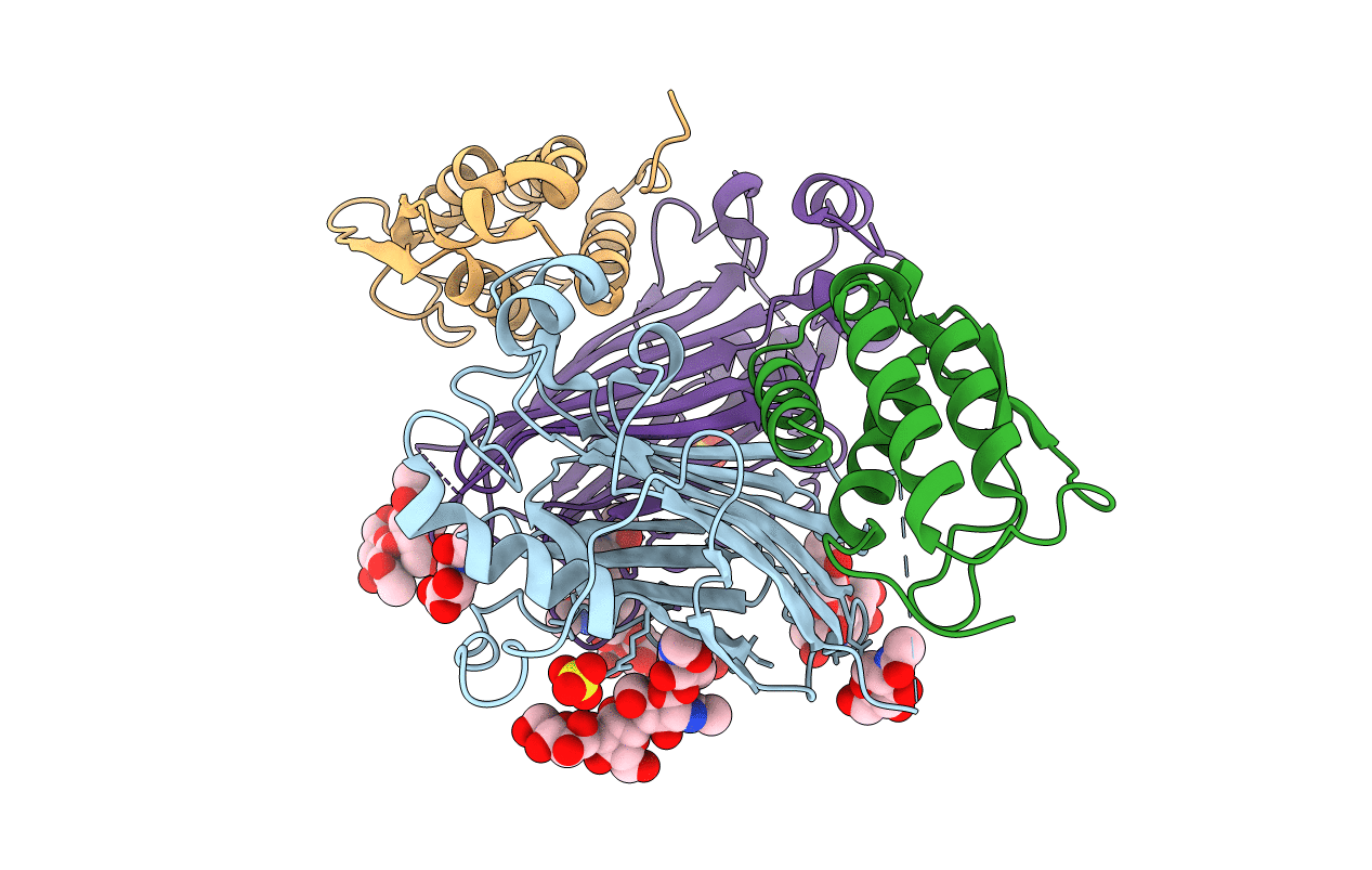 5D28 image