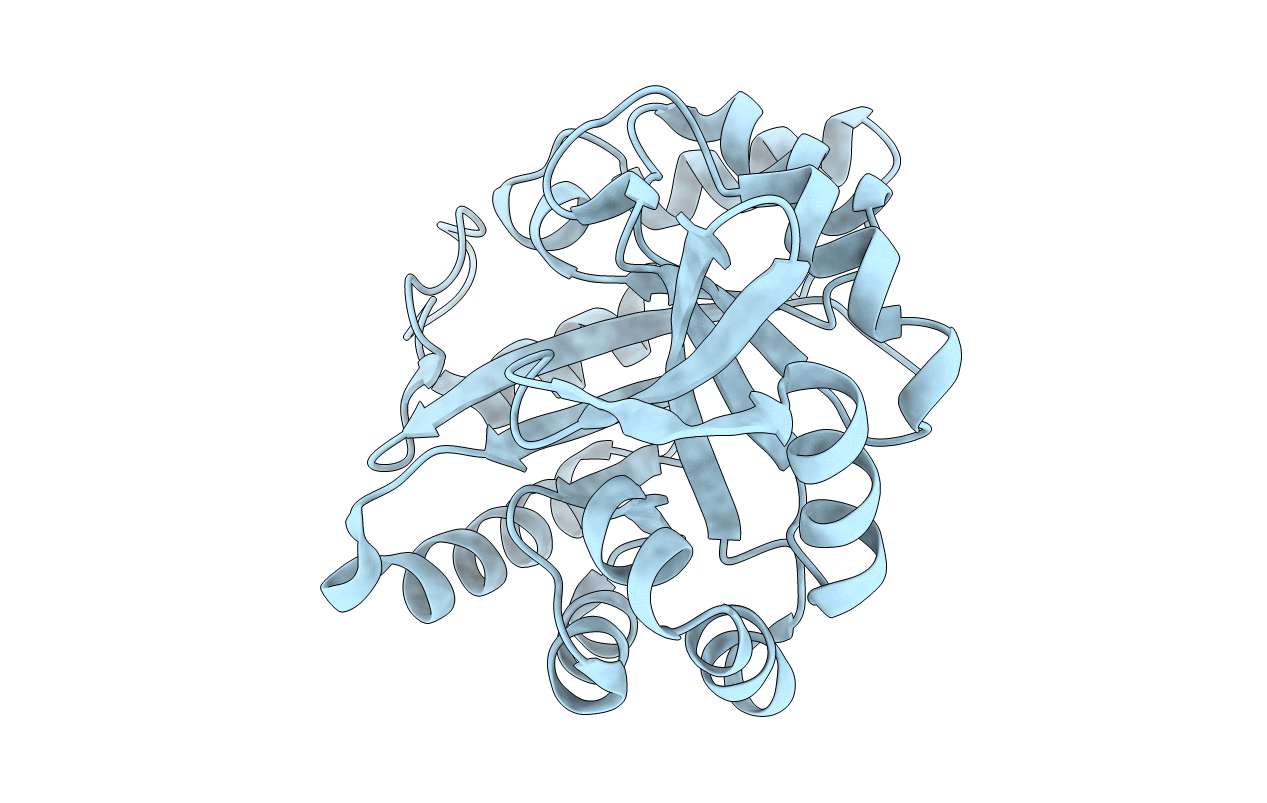5D2Y image