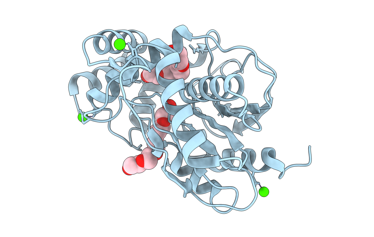 5D3K image