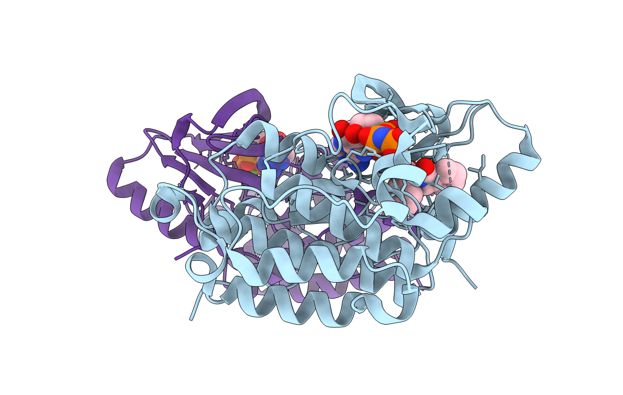 5D41 image