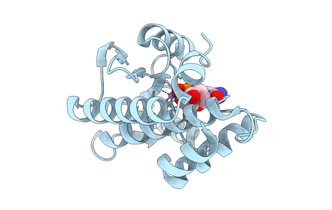5D42 image