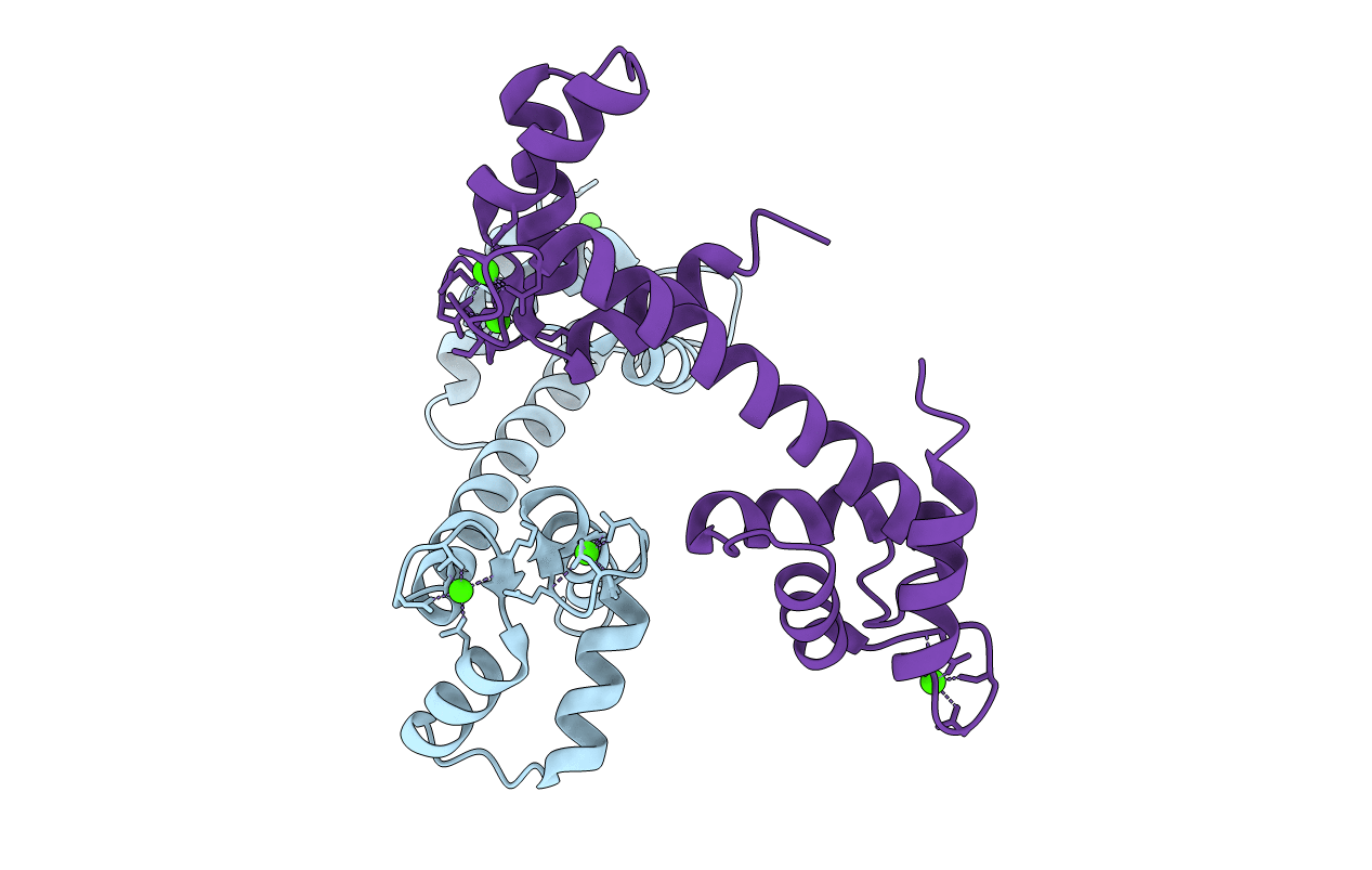 5D43 image