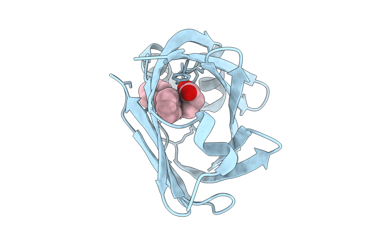 5D45 image