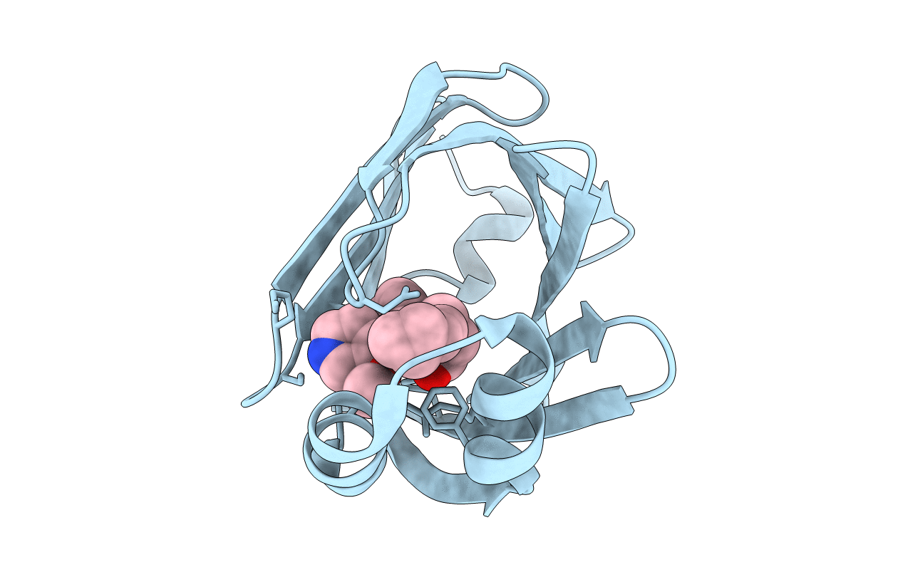 5D47 image
