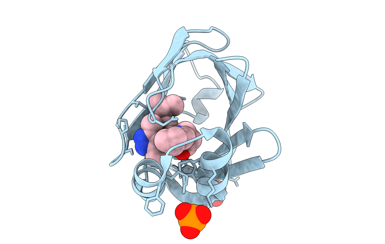 5D48 image