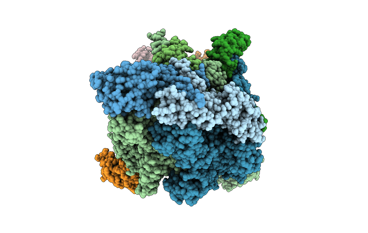 5D4D image