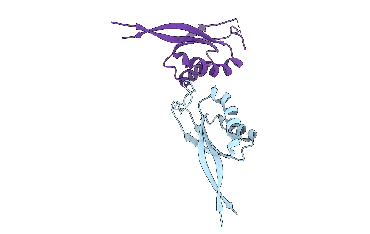 5D4L image