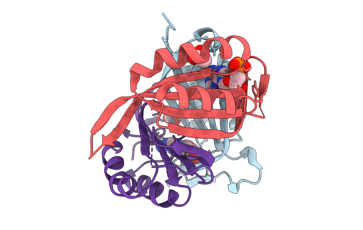 5D4N image