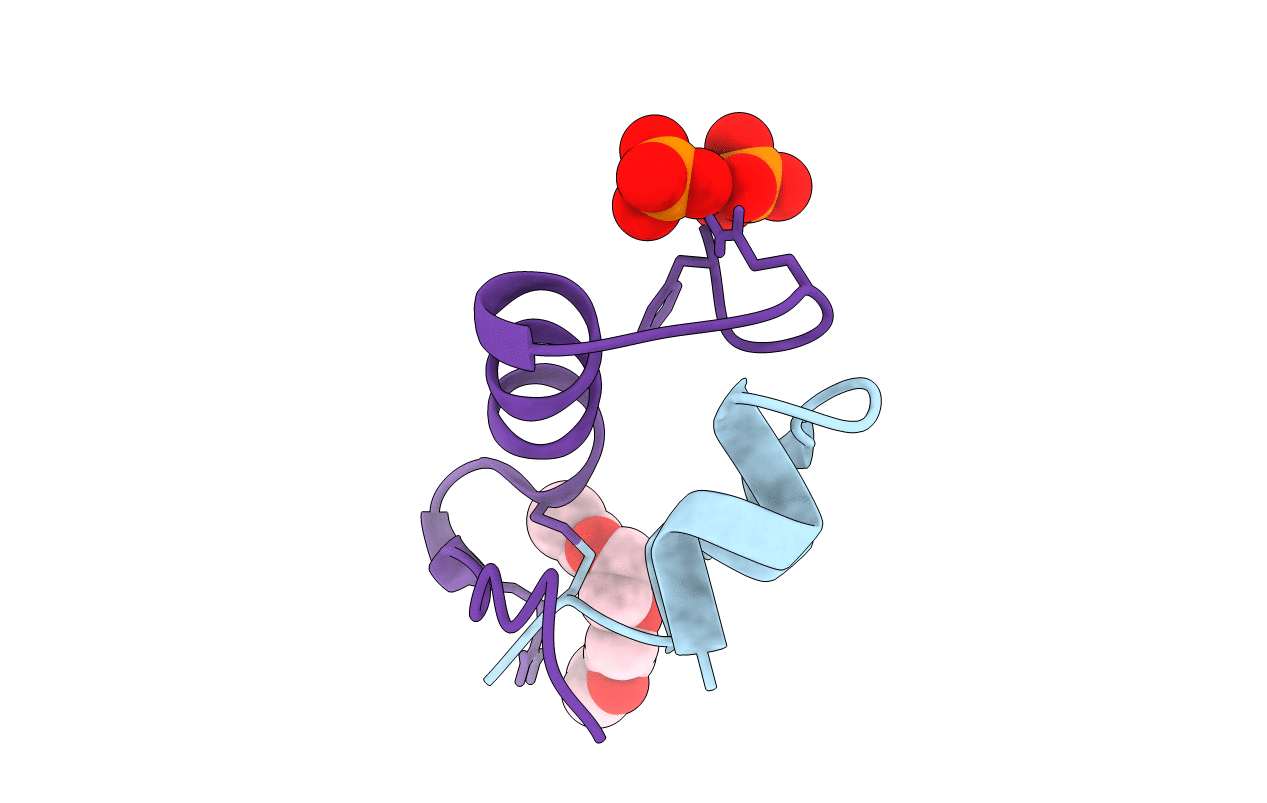 5D53 image