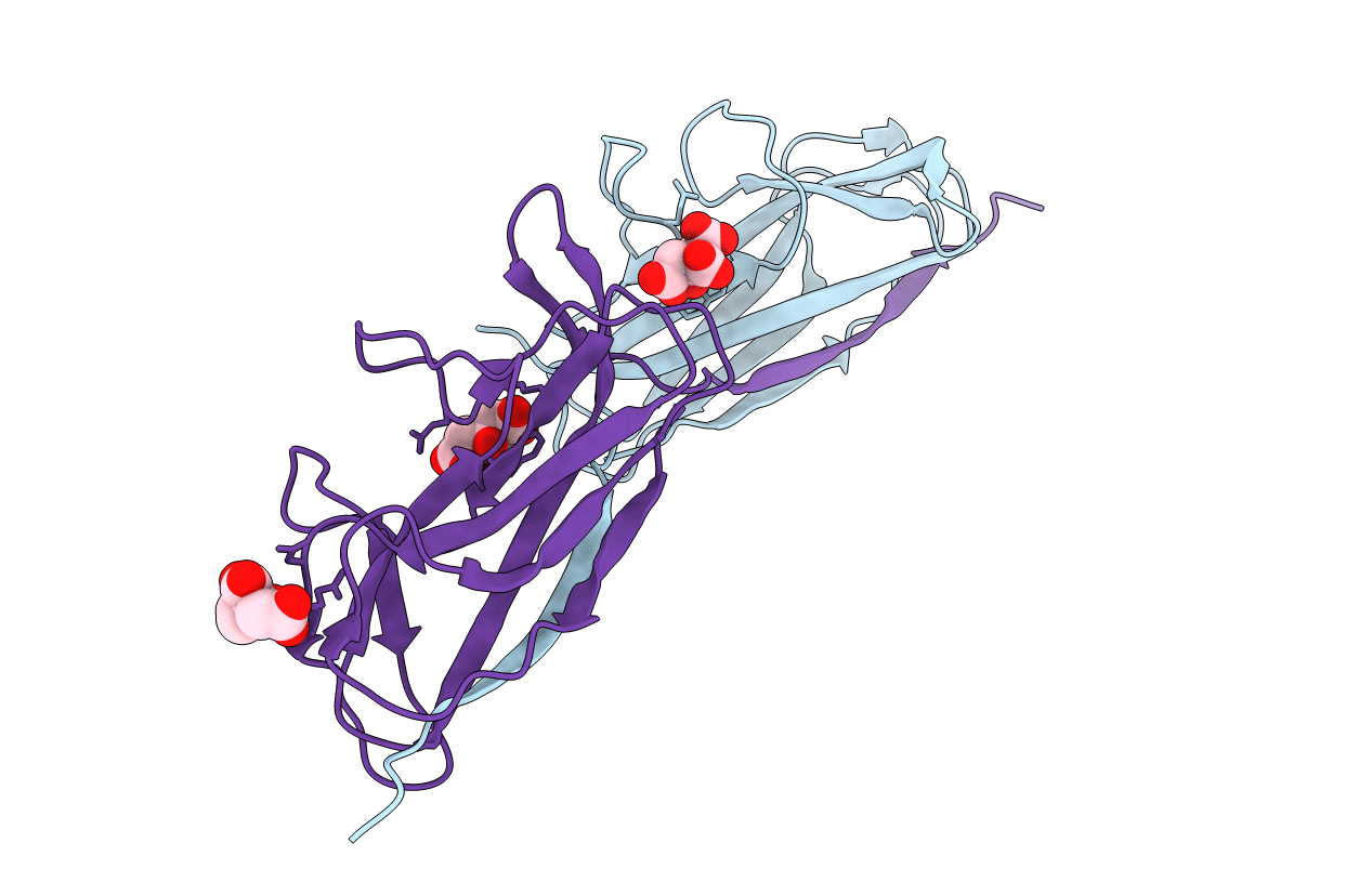 5D55 image