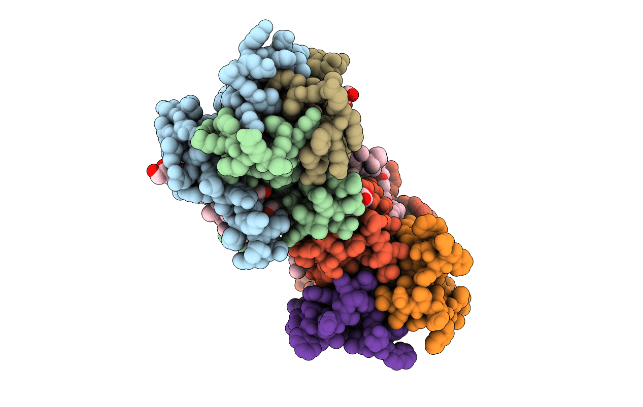 5D56 image