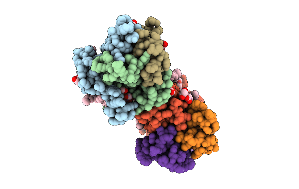 5D57 image