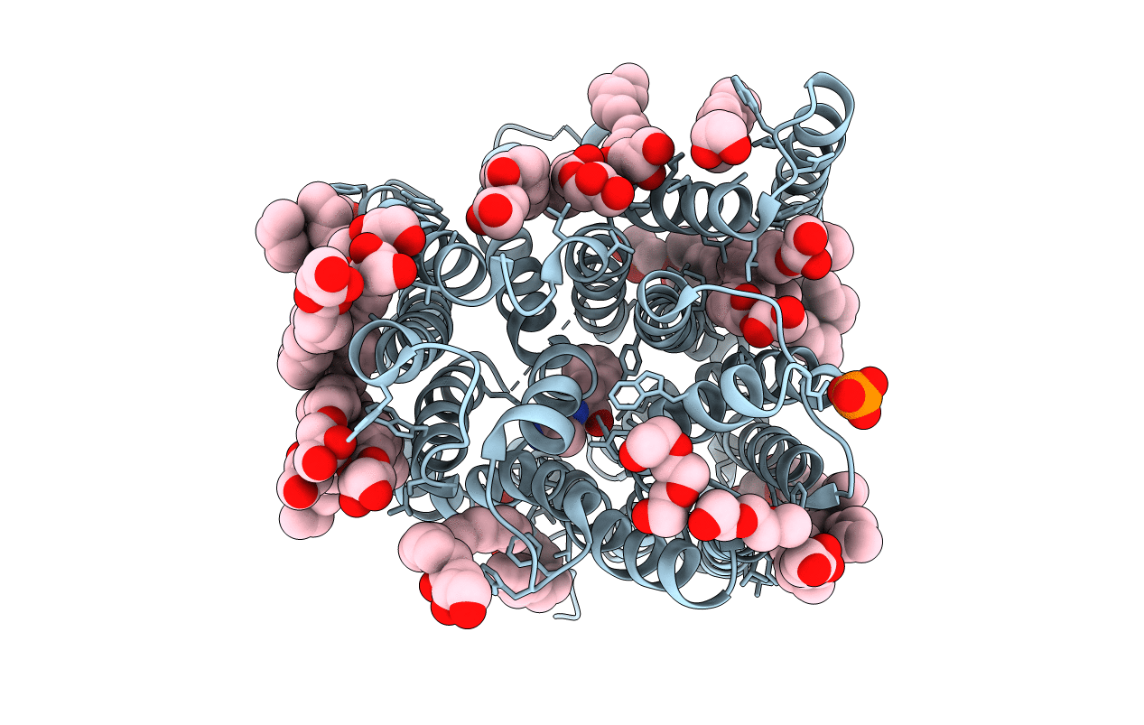 5D58 image