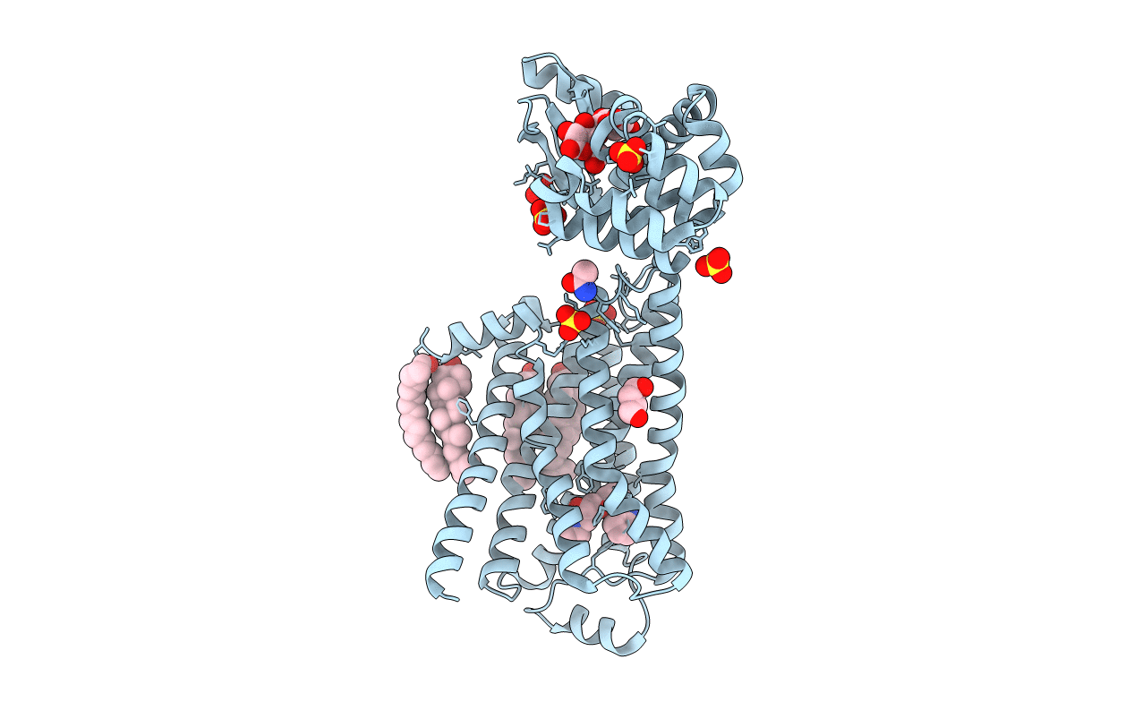 5D5B image
