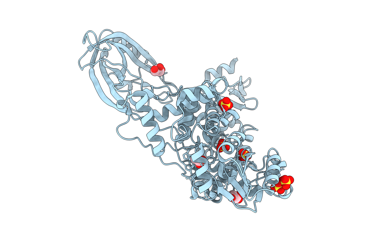 5D5H image