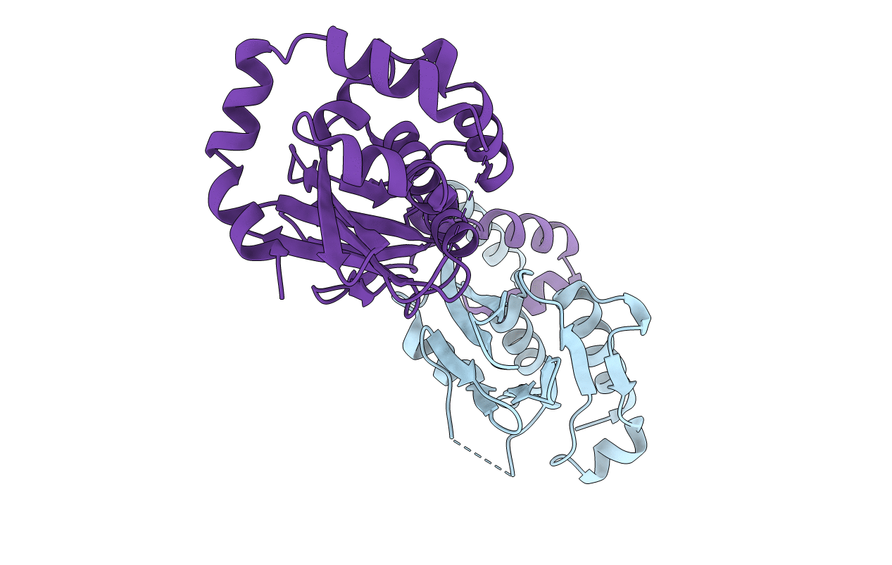 5D5N image