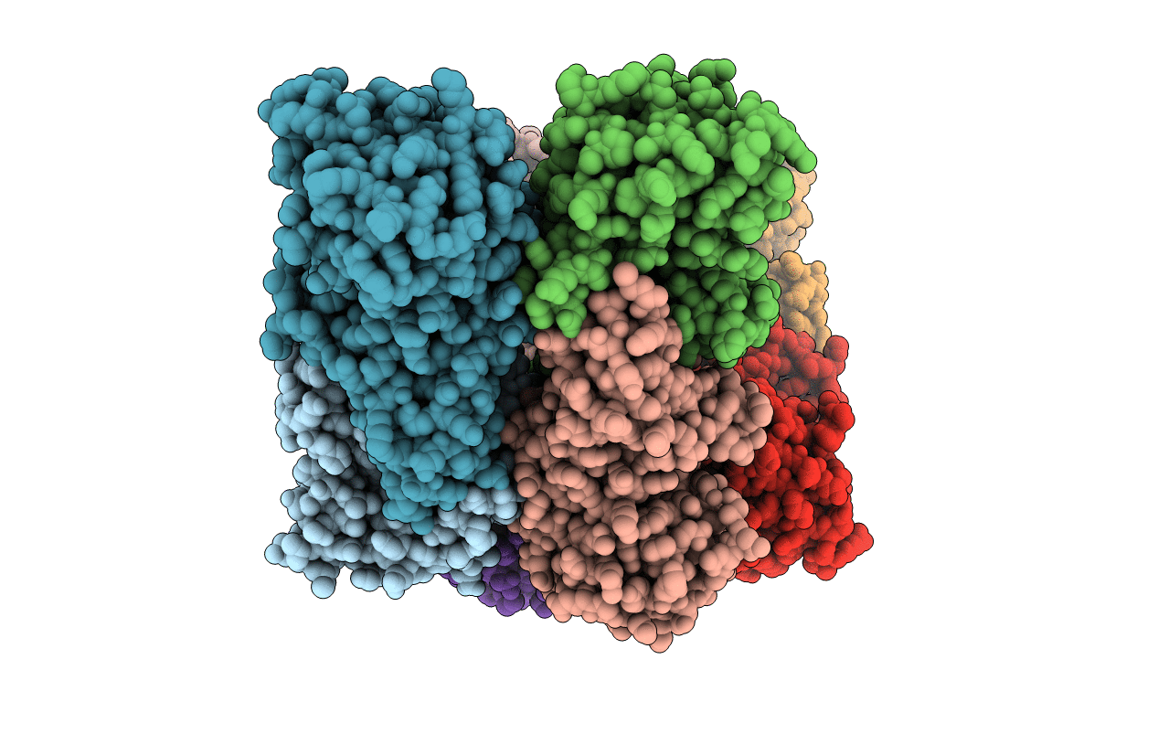 5D5O image