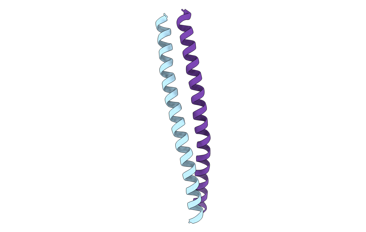 5D5Y image