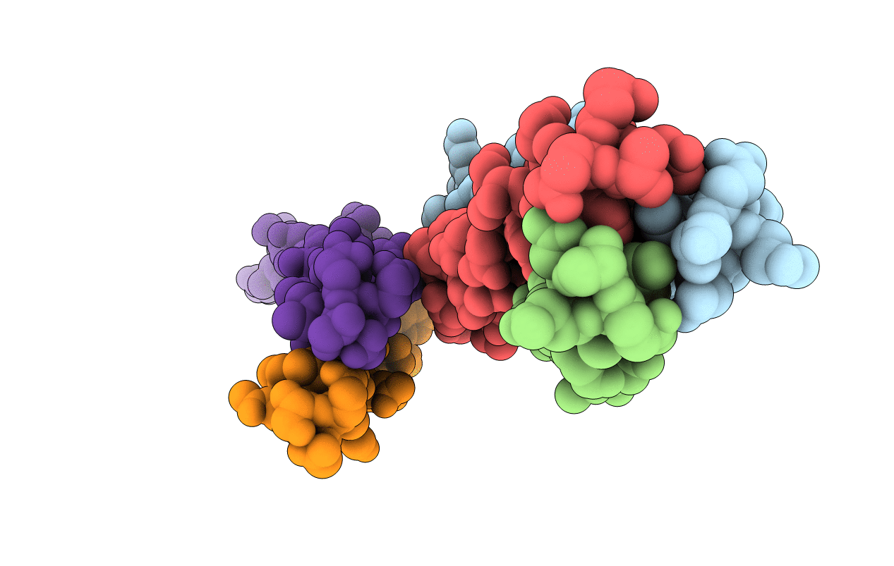 5D5Z image