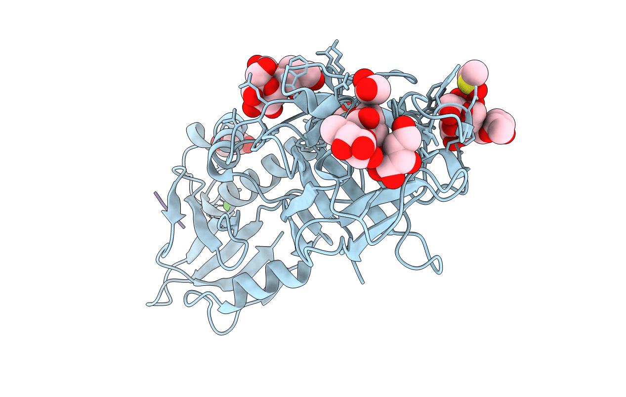 5D62 image