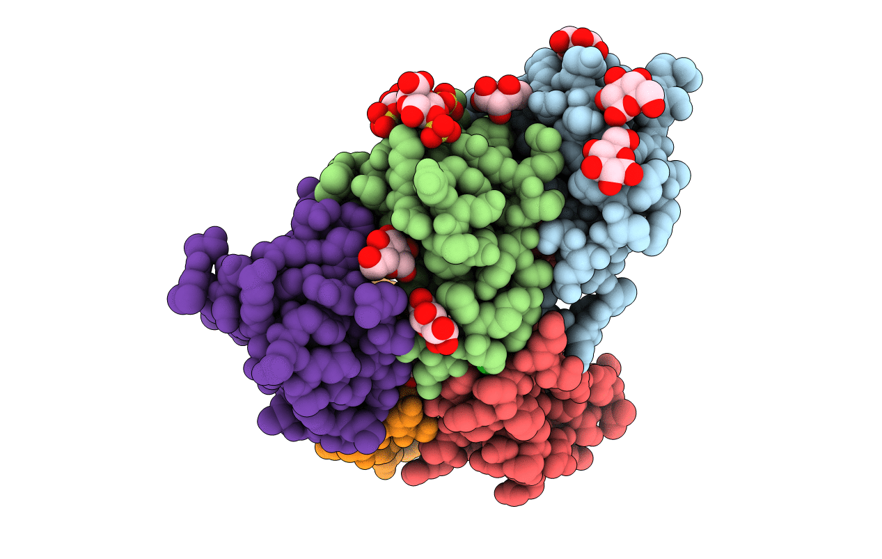 5D65 image